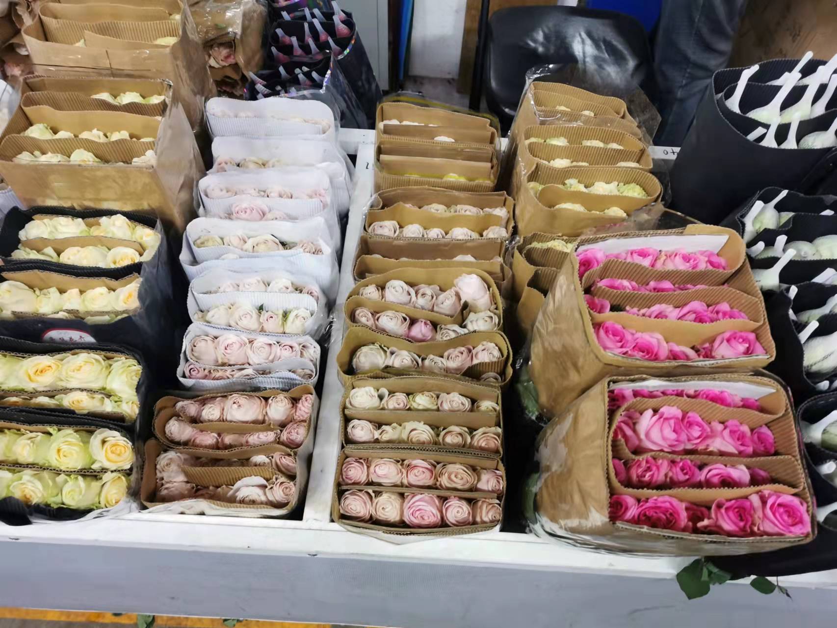 如何能快速學好花藝和掌握其技巧