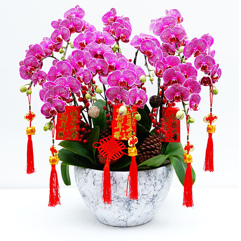 什么花卉開花時(shí)間比較長(zhǎng)