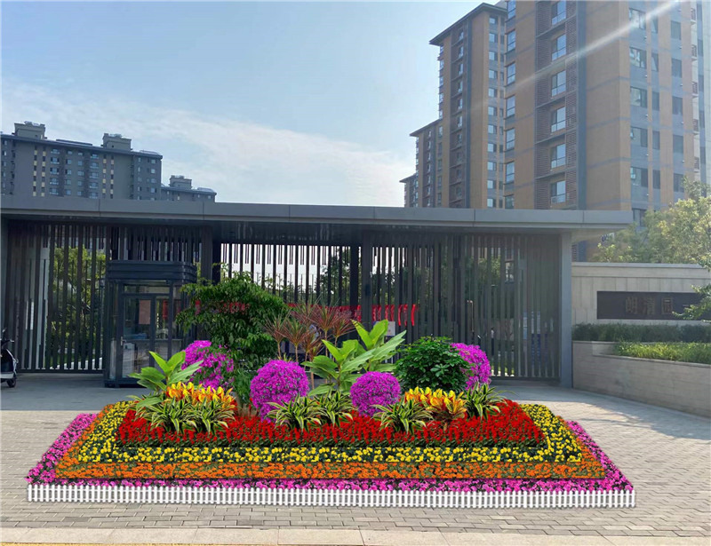 歡度國(guó)慶花壇擺放