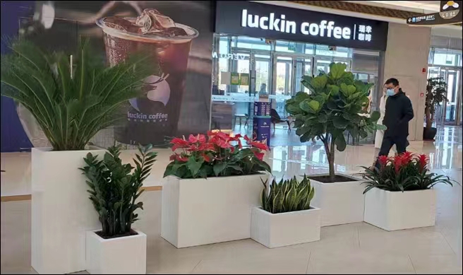 朱頂紅冬天要怎么養(yǎng)護(hù)？