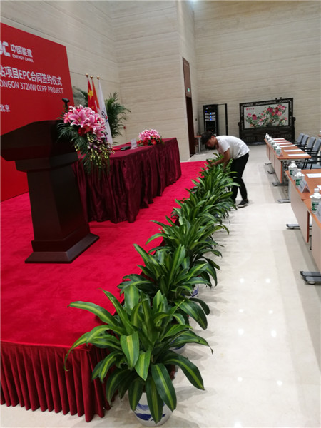 矮牽牛冬天怎么養(yǎng)？注意這5個(gè)養(yǎng)護(hù)細(xì)節(jié)，就能安全越冬！