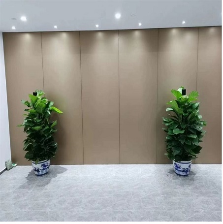 綠蘿的養(yǎng)護(hù)知識(shí)