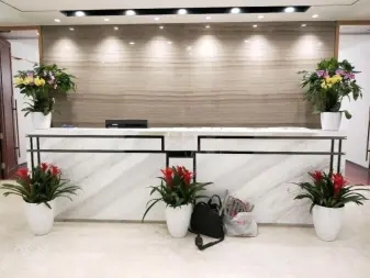 辦公室綠植租擺澆水注意事項(xiàng)