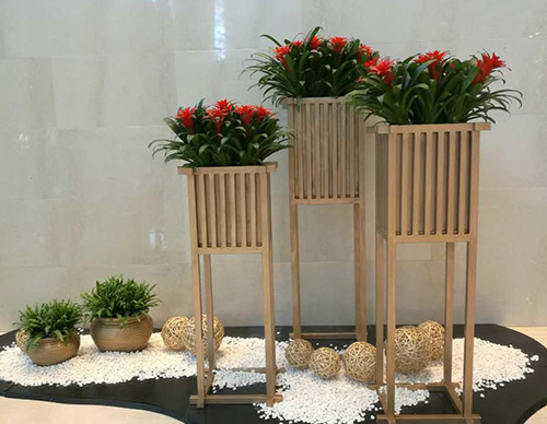 朝陽區(qū)綠植租擺