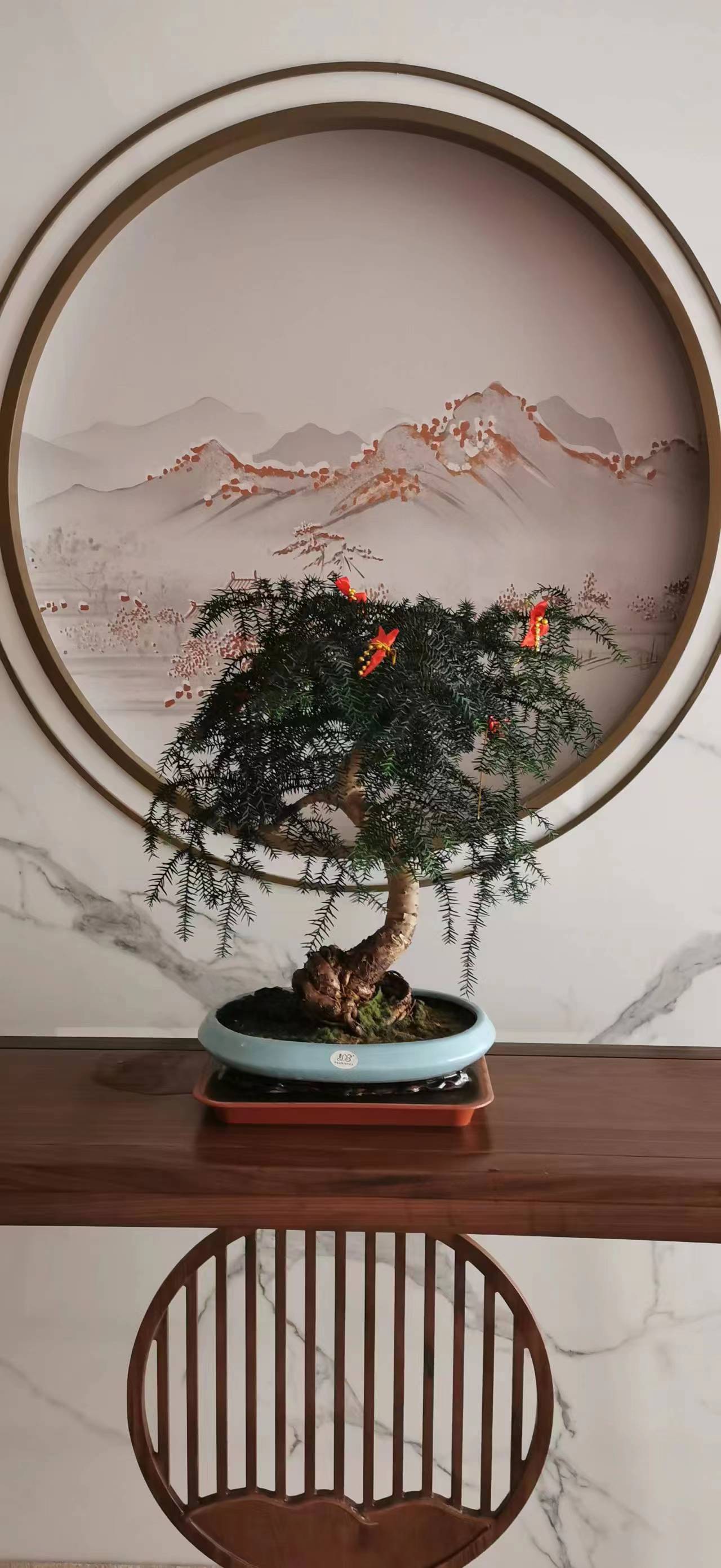 寫(xiě)字樓綠植租賃花卉租擺朝陽(yáng)區(qū)綠植租擺公司，